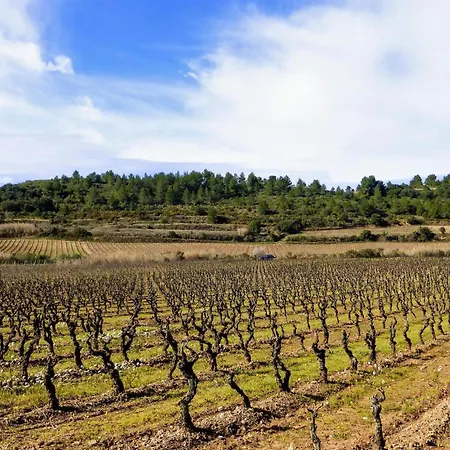 1 Bedroom Awesome In Saint-laurent-de-la-ca Saint-Laurent-de-la-Cabrerisse